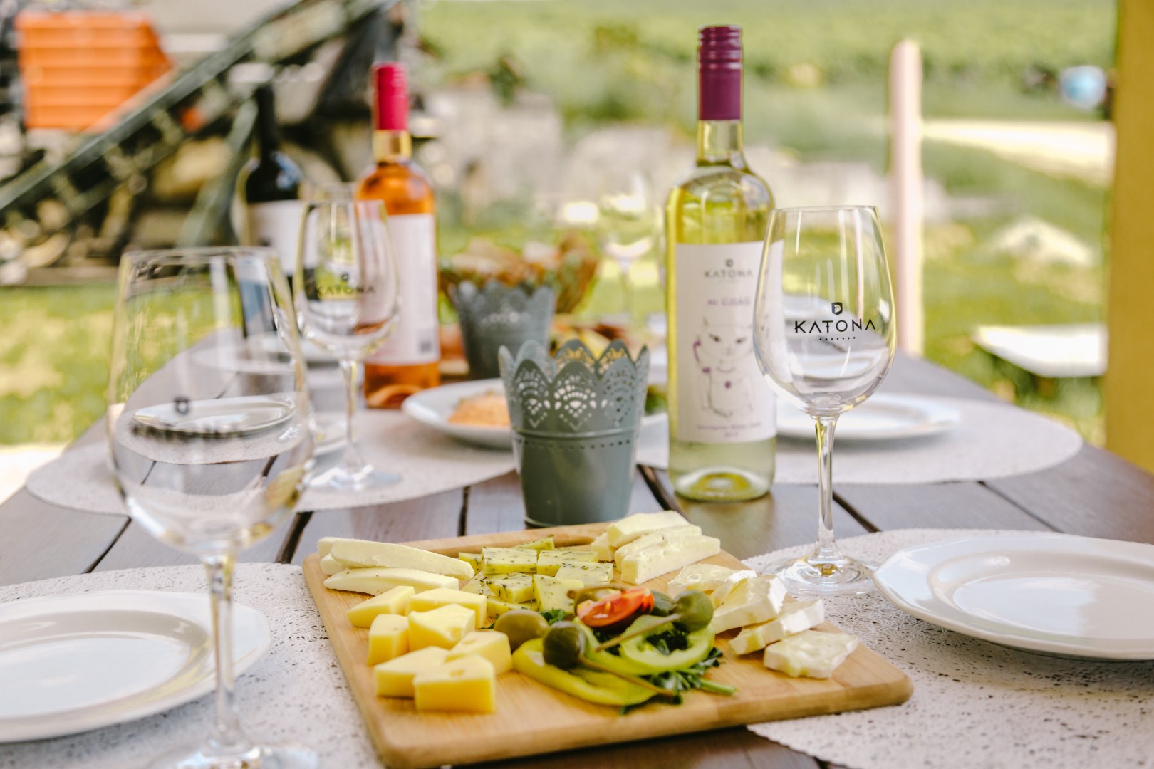 Cheese platter with wine at Katona Winery