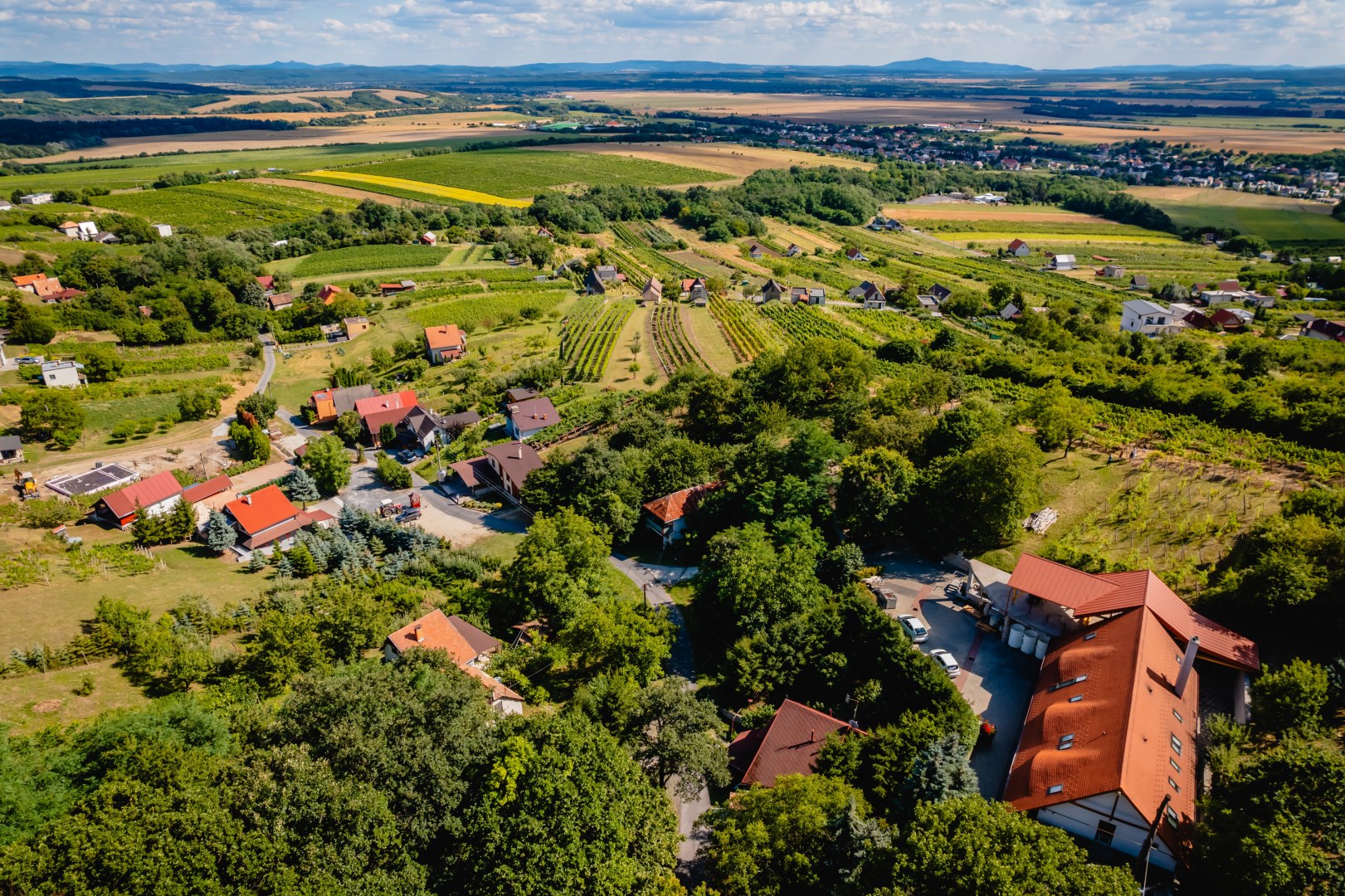 Zsigmond Szőlészet és Borászat látképe
