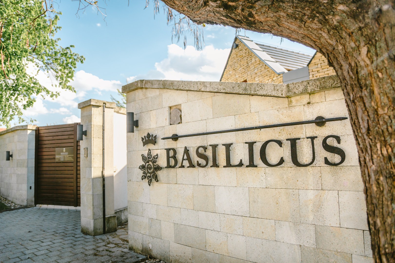 Basilicus pince bejárata Tokajban