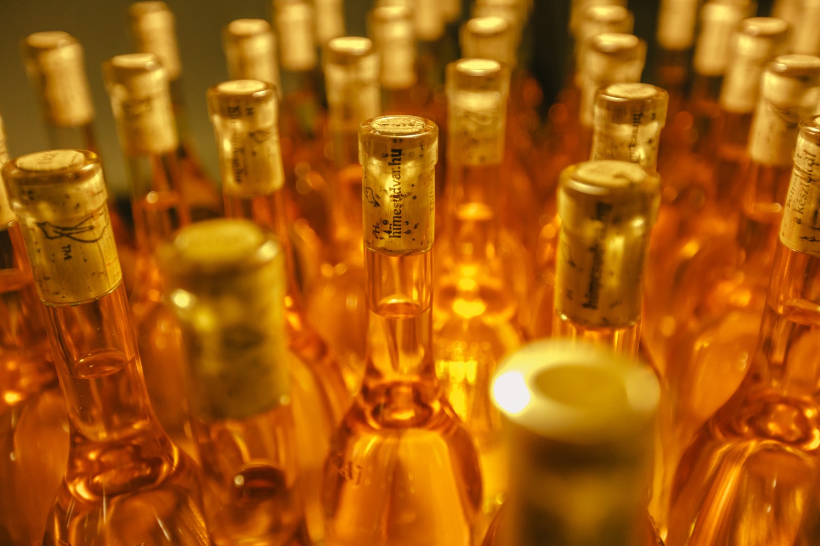 Golden wine bottles in Tokaj