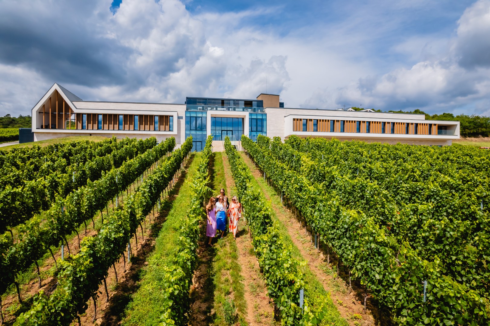 Nők sétálnak a szőlőtőkék között a Világi Winery birtokán